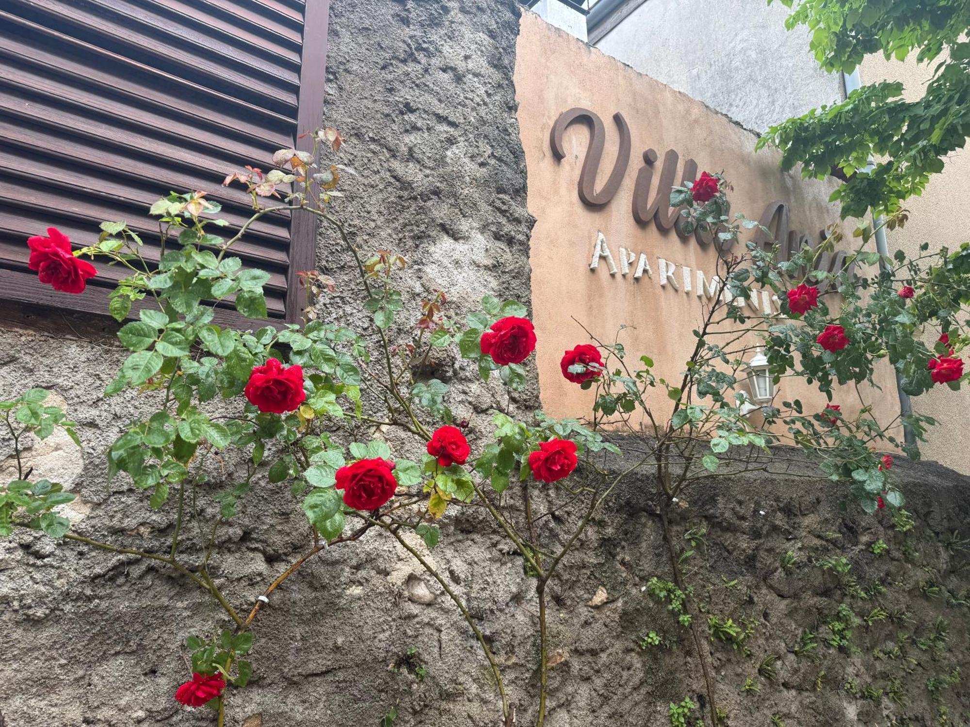 Villa Anja Apartments Мостар Екстер'єр фото